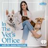 In The Vet's Office with Dr. Josie Horchak