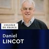 Innovation technologique Liliane Bettencourt (2021-2022) - Daniel Lincot