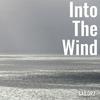Into The Wind