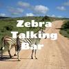 Zebra Talking Bar 幸福心理學的生活實驗室