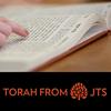 JTS Torah Commentary