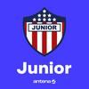 Junior