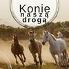 Konie naszą drogą