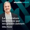 La littérature israélienne par ses grands auteurs