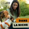 Dans La Niche
