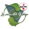 La voce del Ginkgo