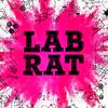 LabRat Foiler Podcast