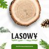 Lasowy