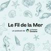 Le Fil de la Mer