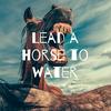 Lead a Horse to Water