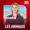 Les animaux