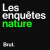Les enquêtes nature