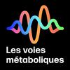 Les voies métaboliques