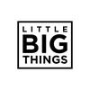 LITTLE BIG THINGS