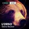 L'orso