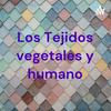 Los Tejidos vegetales y humano