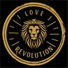 Love Revolution - Experiencia
