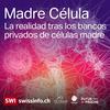 Madre Célula