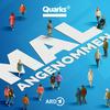 Quarks – Mal Angenommen