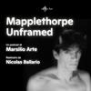 Mapplethorpe Unframed