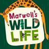 Marwell's Wild Life