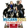 McCann Dog Training - Train Station Replay