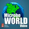 MicrobeWorld Video
