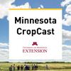 Minnesota CropCast