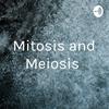 Mitosis and Meiosis