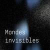 Mondes invisibles