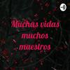 Muchas vidas muchos maestros