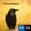 Naturmorgon