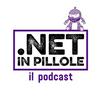 .NET in pillole