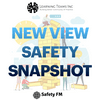 New View Safety Snapshot
