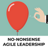 No Nonsense Agile Leadership