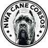 NWA Cane Corsos Podcast- An All Breed Podcast