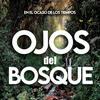 Ojos del Bosque - En el Ocaso de los Tiempos