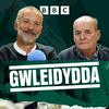 Gwleidydda