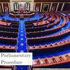 Parliamentary Procedure with Chris and Viktor