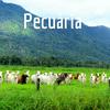 Pecuária
