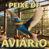 Peixe de Aviário