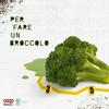Per fare un broccolo