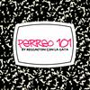 Perreo 101