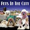 Pets In The City - New York City Pets & Animals - Pet Life Radio Original