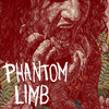 Phantom Limb