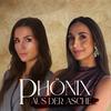 Phönix aus der Asche