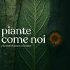 Piante come noi