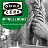 Pinceladas