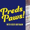 Preds Paws
