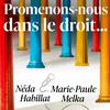 Promenons-nous dans le droit...